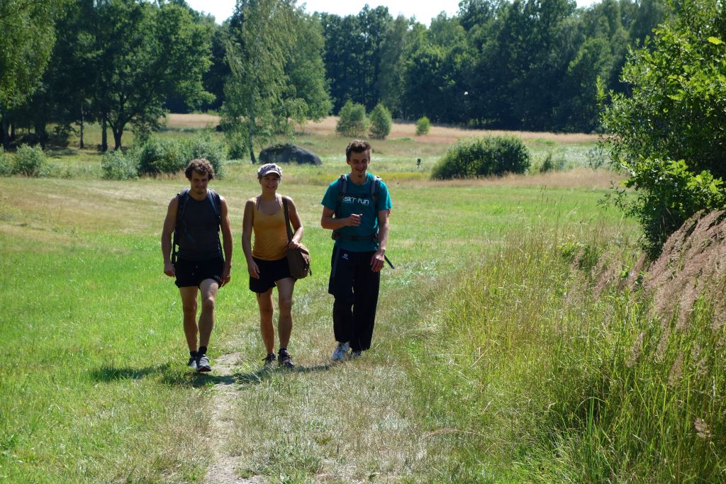 Group walking