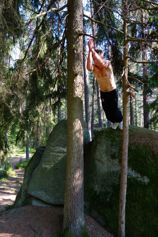 Martin - Tree Präzisionssprung